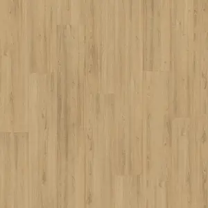 Joka 431 NP Madison City V4