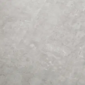 Coretec SurPlus - Graphic 93