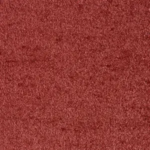 Associated Weavers Sensation New, Sensualite - 19