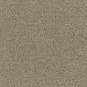 Lano Carve Classic - 431 BAMBOO MAT