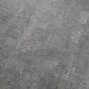 Coretec SurPlus - Graphic 97