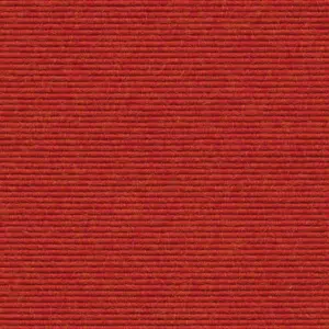 tretford Ever - 582 - Grapefruit
