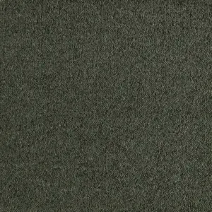Lano Patina - 0590 MOOS