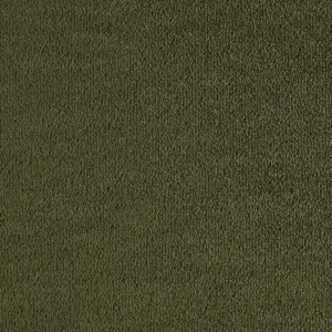 Lano Dream - 0591 MOSS