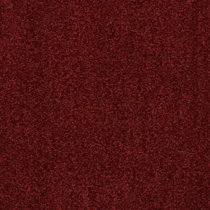 Lano Traviata - 0110 KARMIN